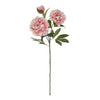 Heirloom Peony Spray 30x20x76cm Pink