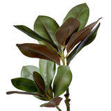 Magnolia Foliage 83cm