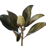 Magnolia Bud Foliage 65cm