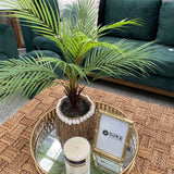 Palm Tree 53cm