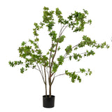 Schefflera Tree 152cm w Pot 15x13cm