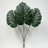 Single Monstera Leaf