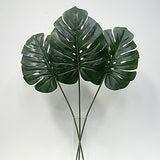 Single Monstera Leaf