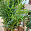 Palm Tree Real Touch 190cm