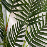 180cm Real Touch Fern Palm