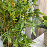 Bamboo Tree 180cm Green