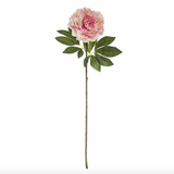 Heirloom Peony Stem 25x18x79cm Pink