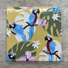 Jungle Ceramic Coaster 10cm 6 Asst CDU