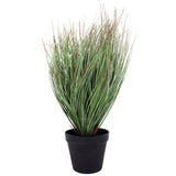 Grass In Pot 48cm
