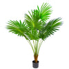 Fan Palm w/ Pot 160cm