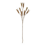 Lily Seed Pod Spray 79cm Brown